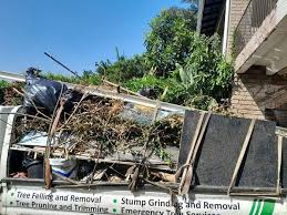 Best Carpet Removal and Disposal  in Whitehall, WI